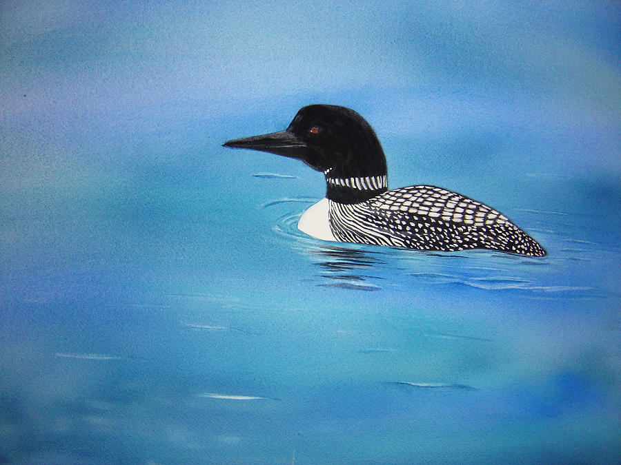 Loon Painting by Teresa Boston - Fine Art America