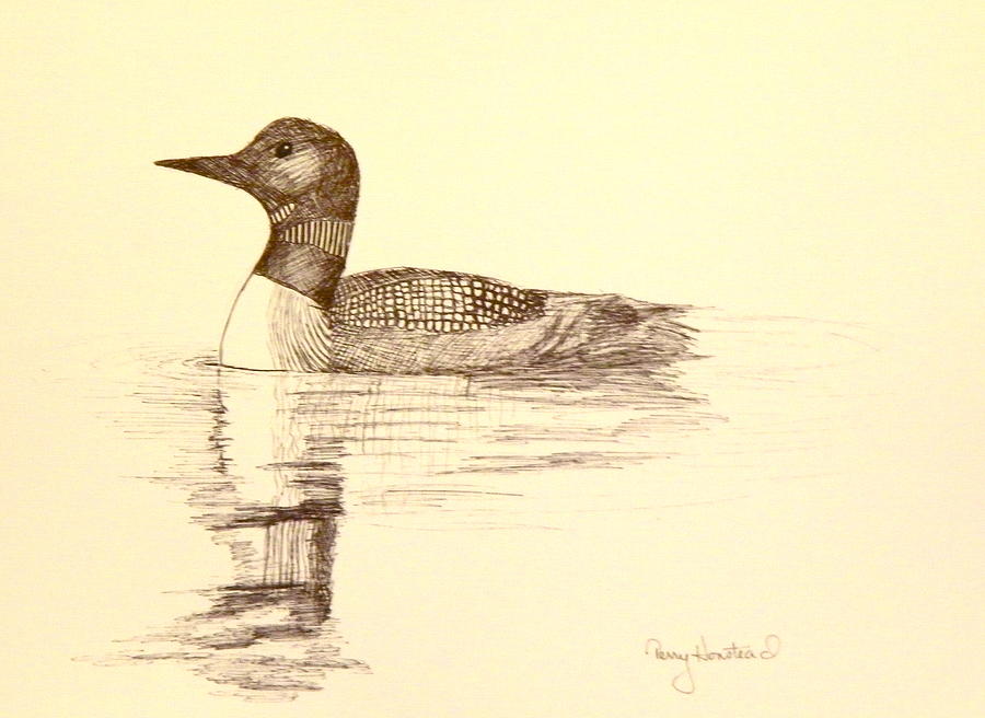 Loon Drawing by Terry Honstead