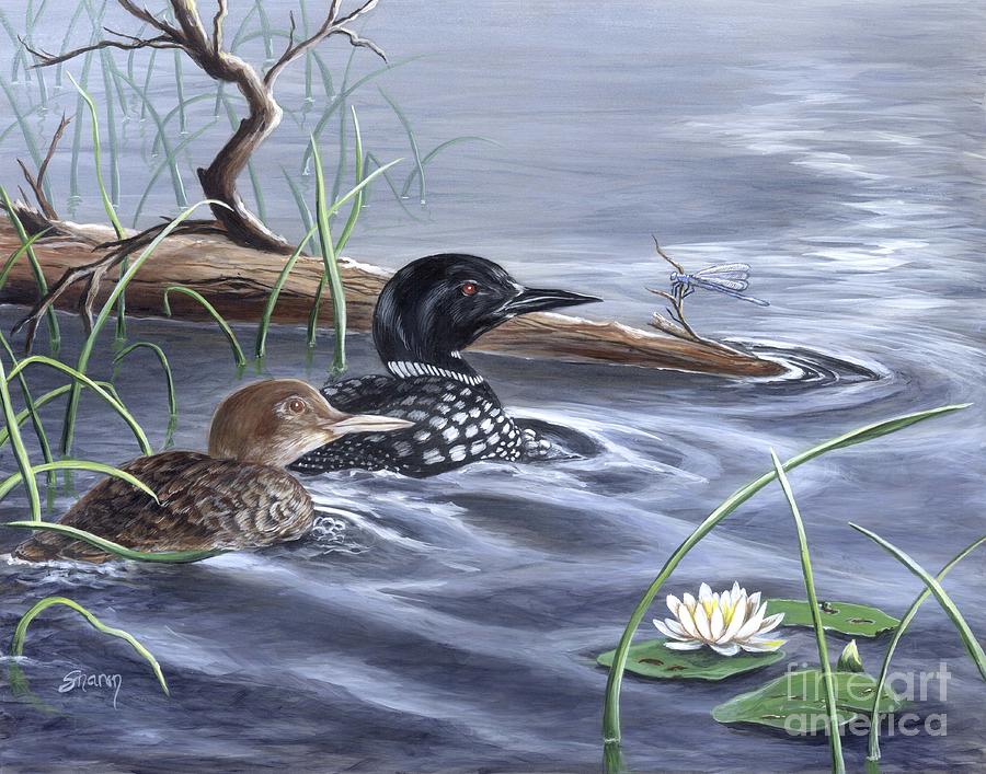Loons and Dragonfly Painting by Sharon Molinaro