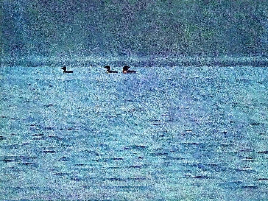 Loons On The Lake Photograph by Joy Nichols