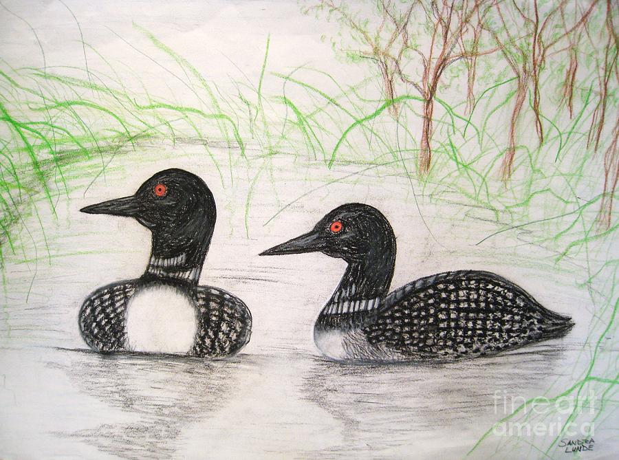 Wildlife Drawing - Loons Watching by Sandra Lunde