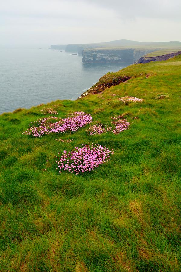 Loop Head - West Coast of Ireland Photograph by Steve Snyder
