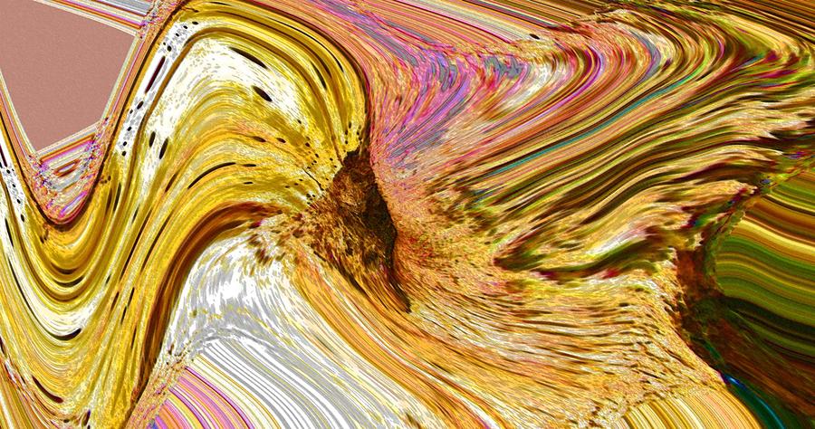 Abstract Digital Art - Loose Goose by Lenore Senior