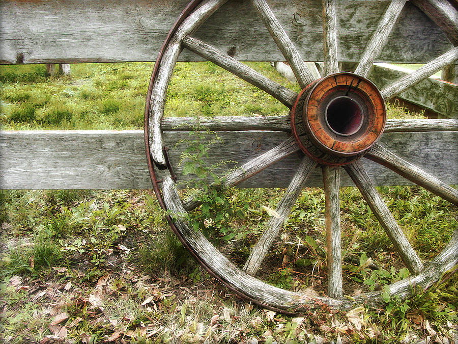 Loose Wheel Photograph by John Anderson