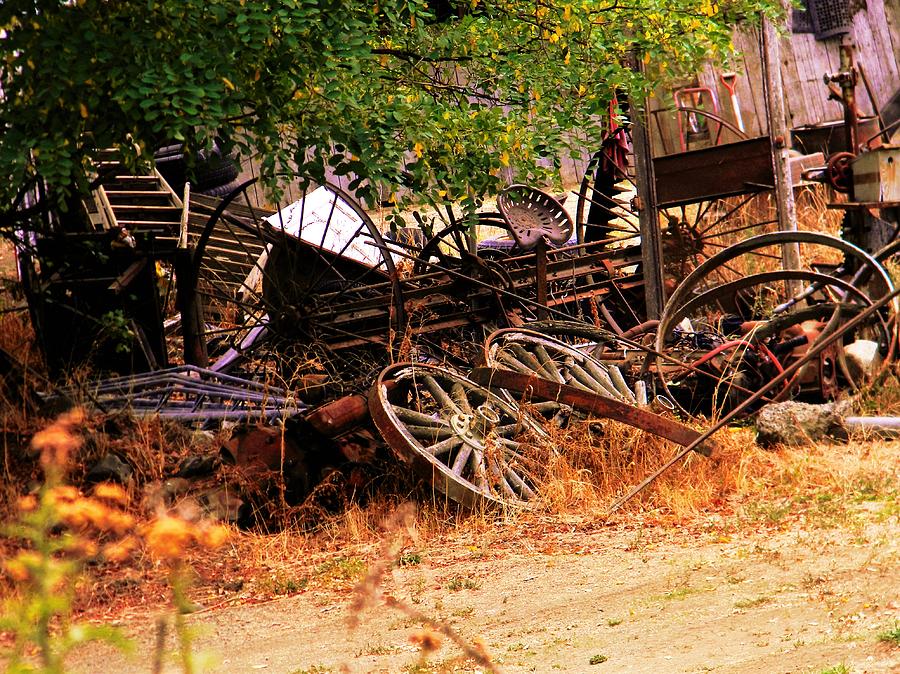 Loose Wheel Photograph by Randi Seaman - Fine Art America