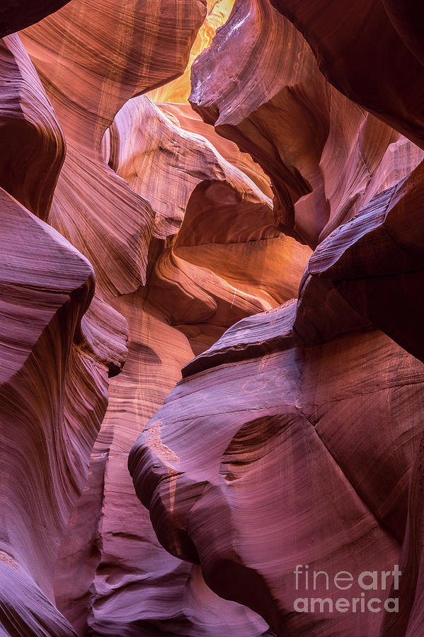 Loower Antelope Canyon Photograph by Craig Shaknis