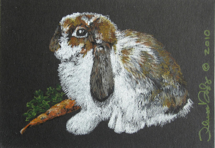 Bunny Drawing - Lop Ear - Mini Art by Theresa Higby Bunny Drawing - Lop Ear - Mini Art by Theresa Higby