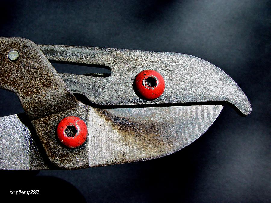 Tool Photograph - Lopper Bird by Kerry Beverly