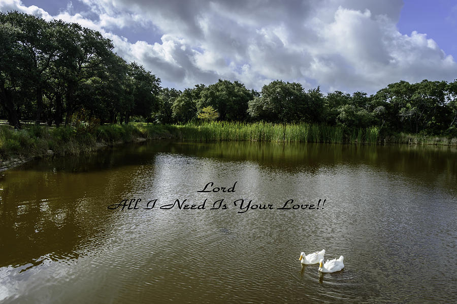 Duck Photograph - Lord Al I need Is Your Love by Leticia Latocki