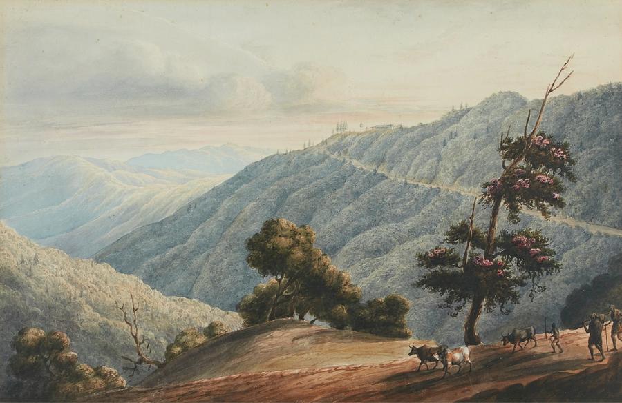 Lord Dalhousie S Residence At Simla Painting by A F  White