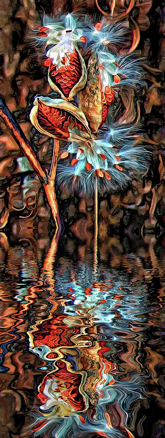 Nature Photograph - Lord of the Dance - Paint - Reflection by Steve Harrington