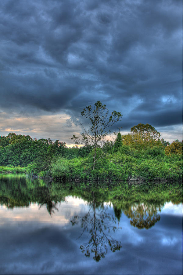 Lord Stirling Park Photograph by Jeff Bord - Fine Art America