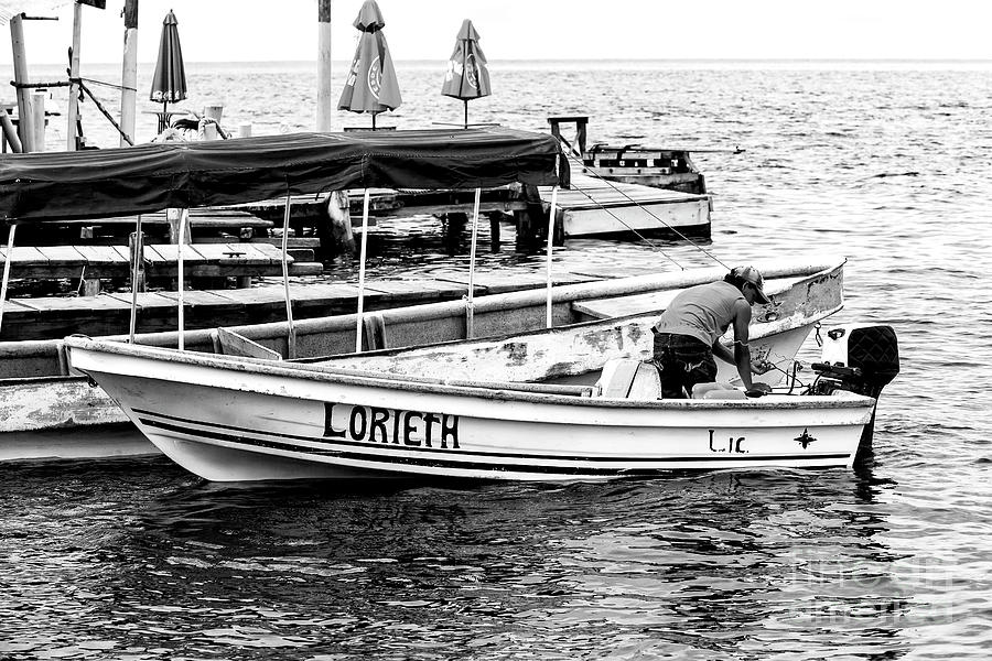 Lorieth at Bocas del Toro Photograph by John Rizzuto