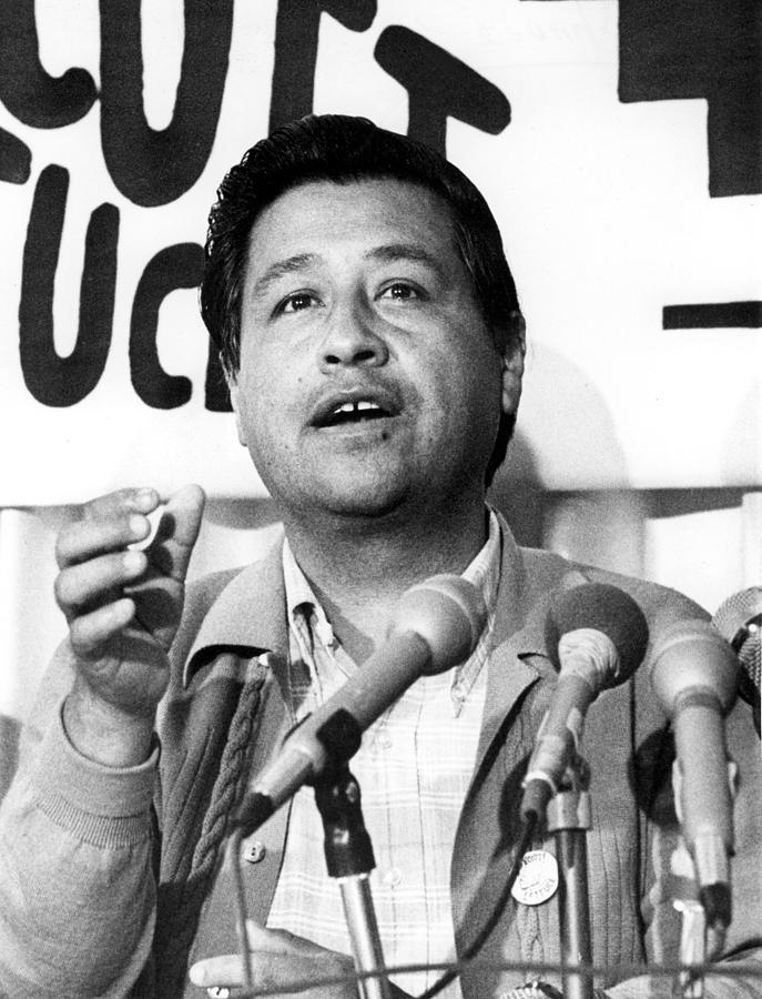 Los Angeles Cesar Chavez, Leader Photograph by Everett - Fine Art America