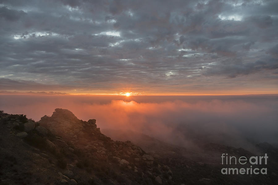 Los Angeles Photograph - Los Angeles Foggy Sunrise  by Trekkerimages Photography