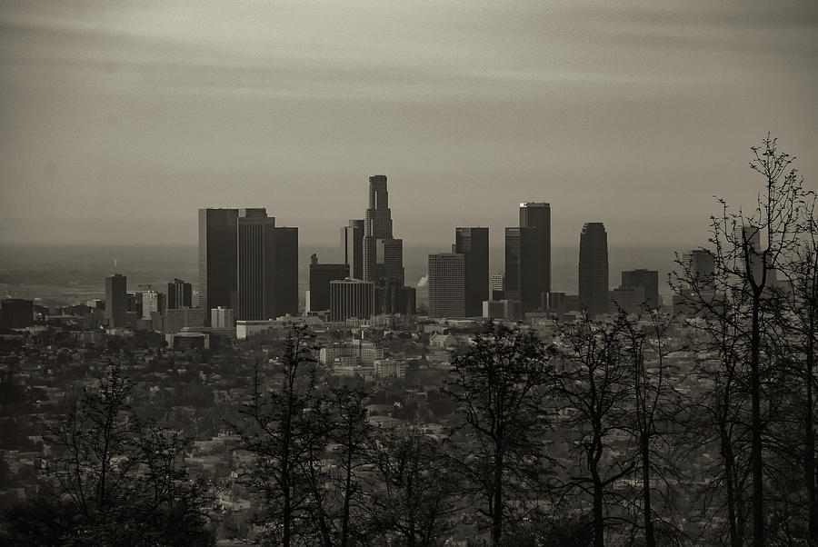 Los Angeles Long Shot Photograph by Joseph Hollingsworth