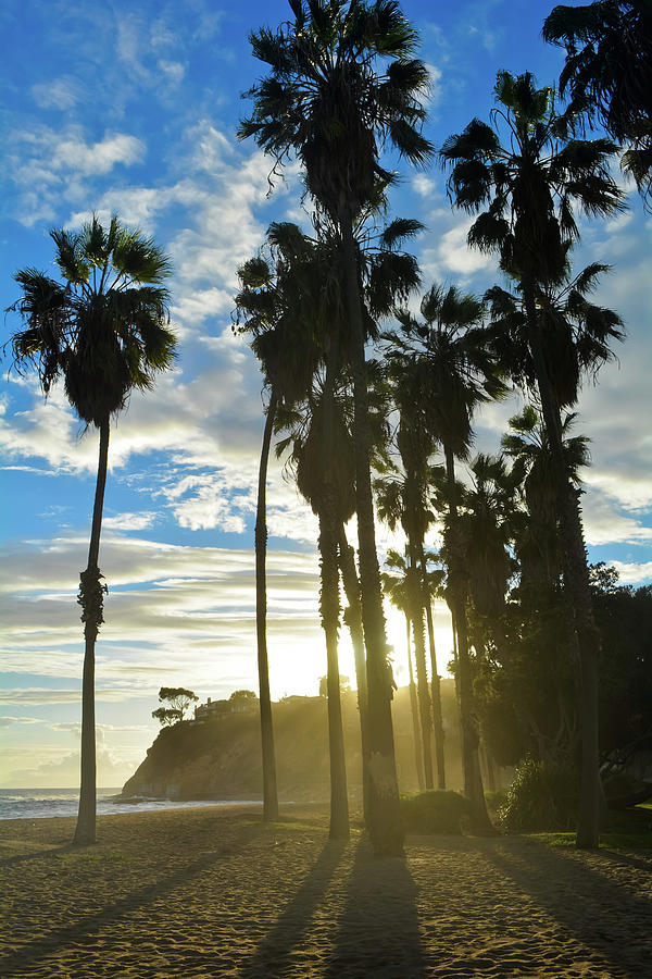 Los Angeles Sunset Palms Photograph by Kyle Hanson