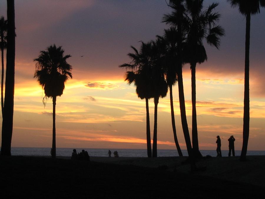 Los Angeles Venice Beach Photograph by Yvonne Ayoub