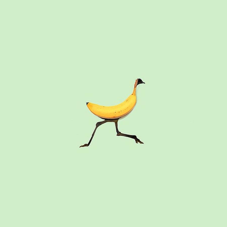 Banana Avestruz Photograph by Jesus Ortiz