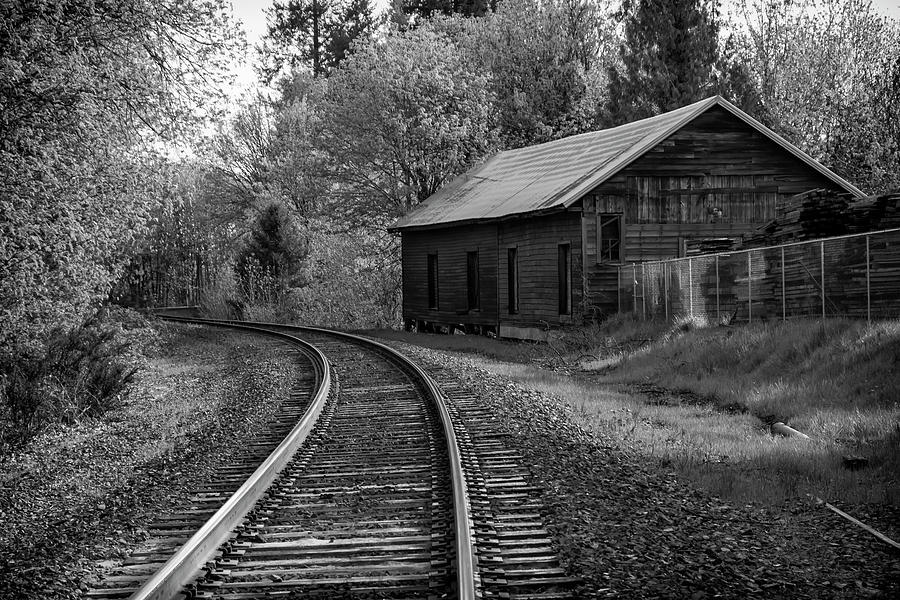 Lost Along The Track Photograph by Steven Clark