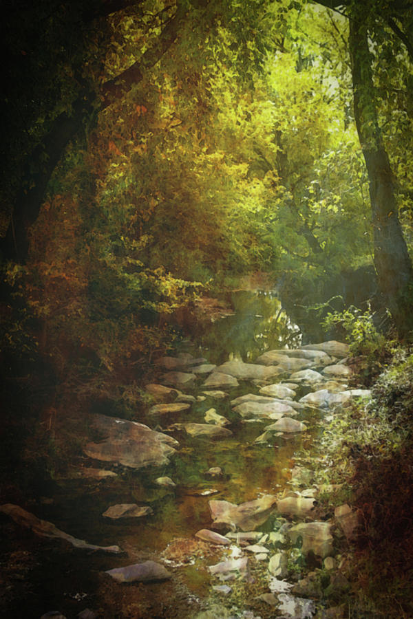 Lost Autumn Stream 6163 LDP_2 Photograph by Steven Ward