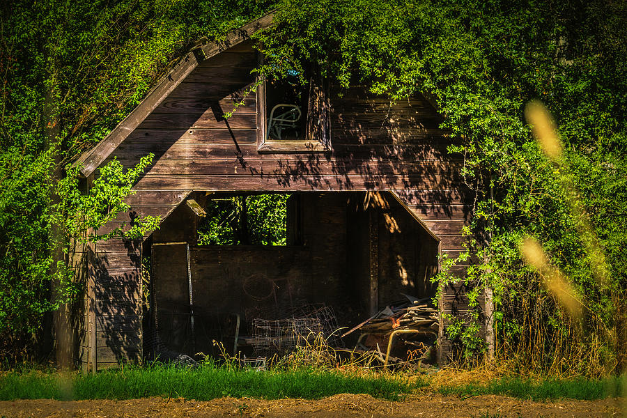 Lost Barn Photograph by Garry Gay