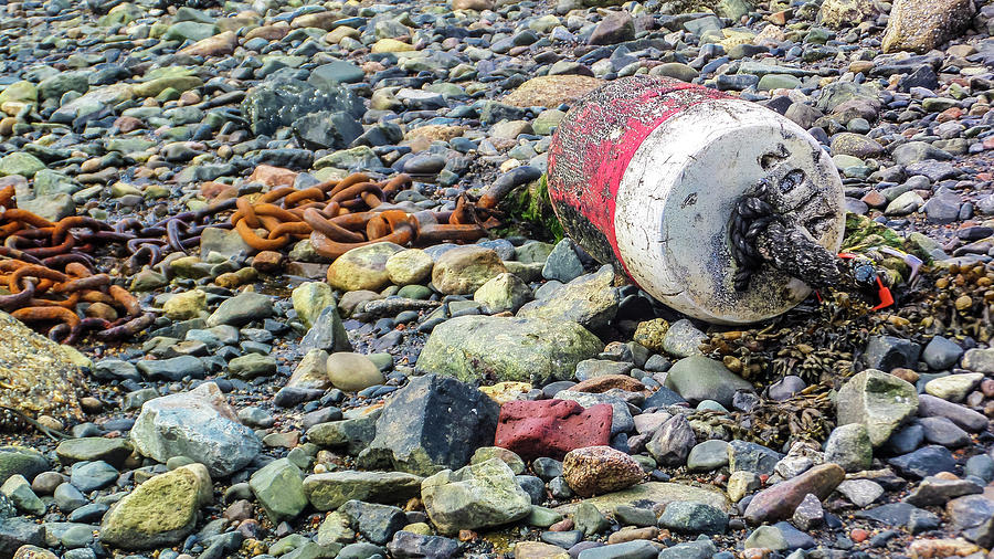 Lost Buoy Photograph by Holly Ross Lost Buoy Photograph by Holly Ross