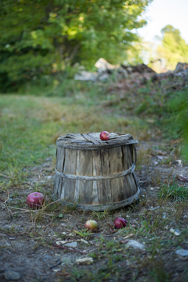 Fruit Photograph - Lost Bushel by Dan Poirier