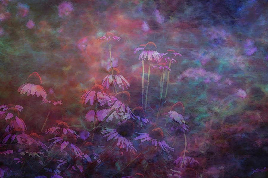 Lost Cone Flowers In The Morning Mist Digital Painting 3087 DP_2 Photograph by Steven Ward