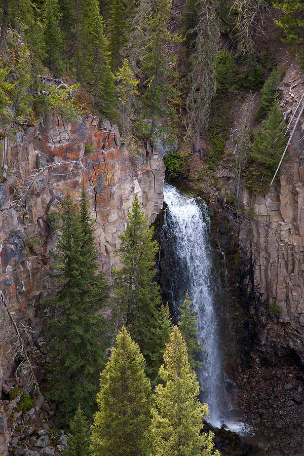 Lost Creek Falls Photograph by Steve Stuller