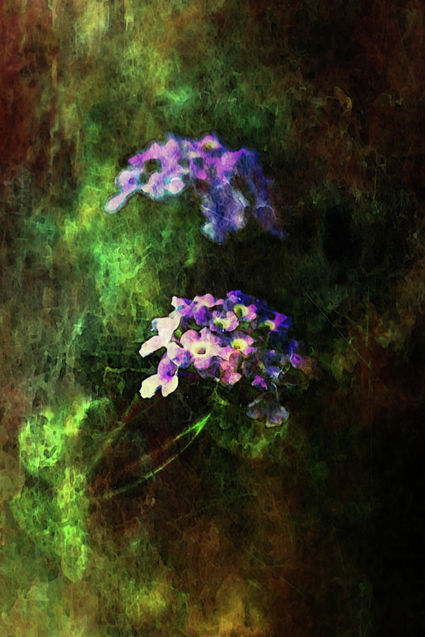 Lost Digital Watercolor Tiny Lavender Petals 3770 LW_2 Photograph by Steven Ward
