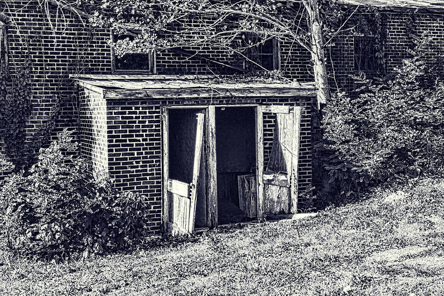 Lost Doorway Photograph by Sharon Popek
