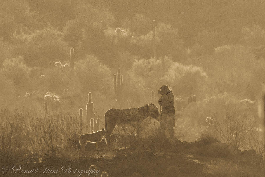 Lost Dutchman Photograph By Ronald Hunt Fine Art America