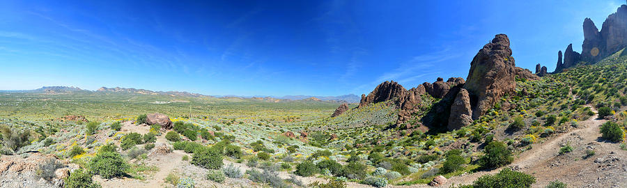 Lost Dutchman State Park Panorama March 15 2015 Photograph by Brian Lockett