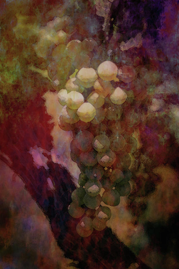 Lost Grapes at River Ridge Winery Digital Watercolor 2695 LW_2 Photograph by Steven Ward
