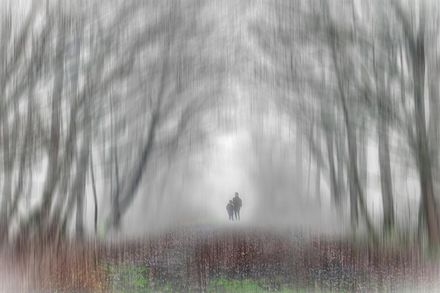 Lost In Fog Photograph By Alexey Bazhan - Fine Art America