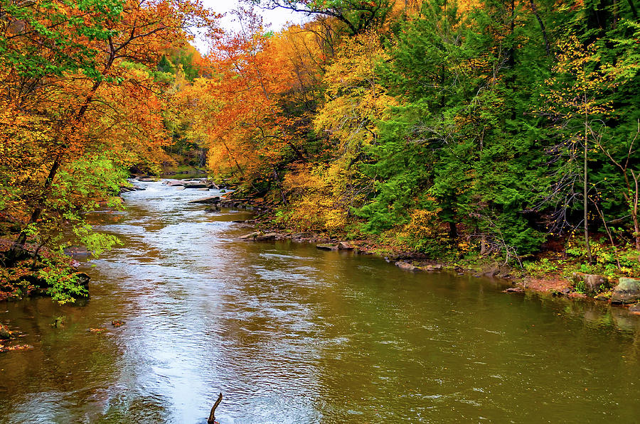 Lost in Pennsylvania 4 Photograph by Steve Harrington - Fine Art America