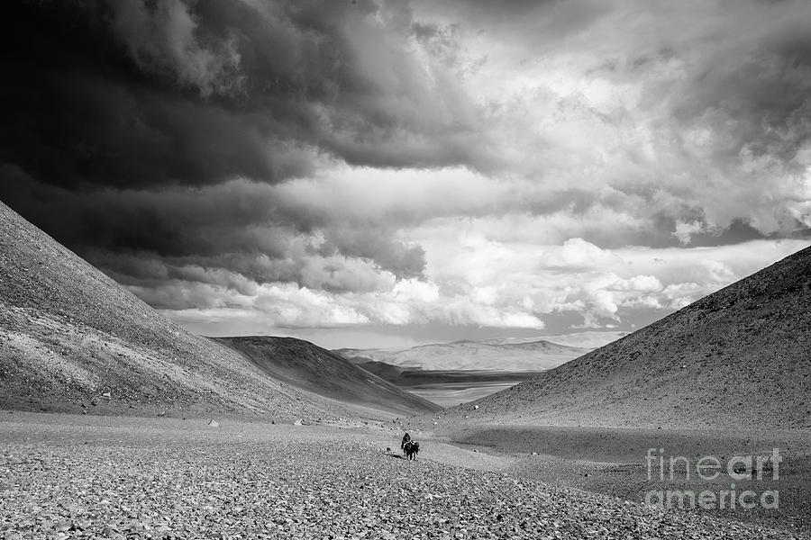 Lost in the Puna de Atacama Photograph by Olivier Steiner