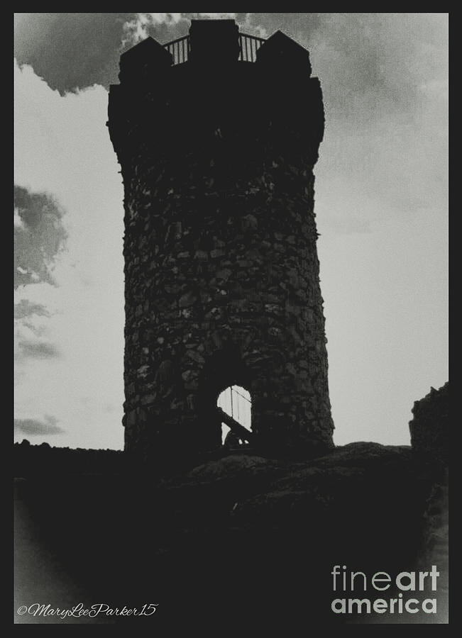 Lost  In The  Tower  Photograph by MaryLee Parker