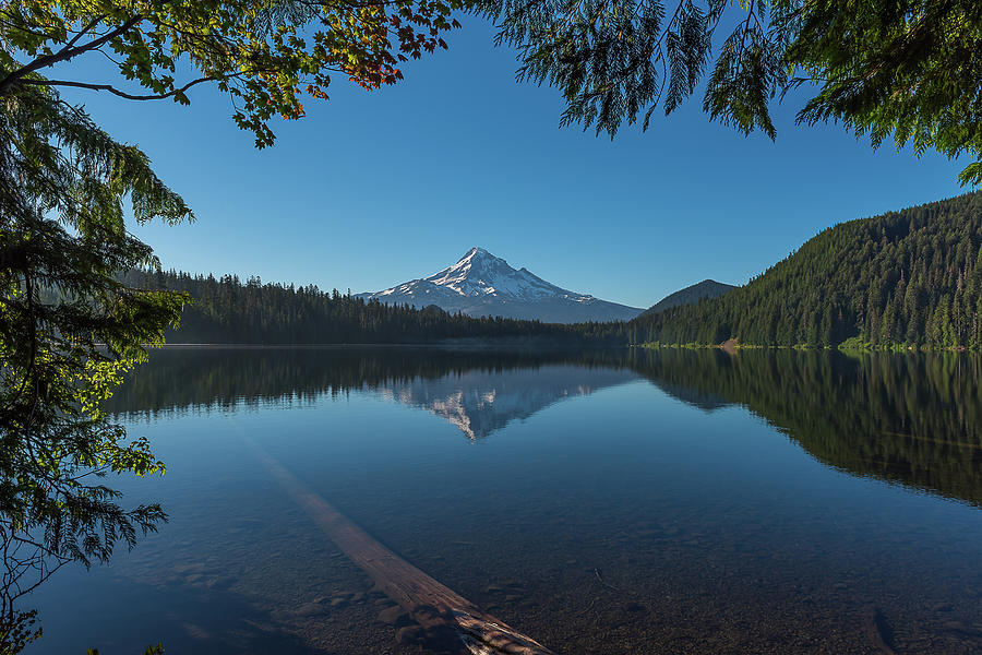 Lost Lake Reflections of Mount Hood Photograph by Brenda Jacobs