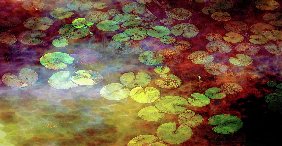Lost Lily Pads Digital Watercolor 5277 LW_2 Photograph by Steven Ward