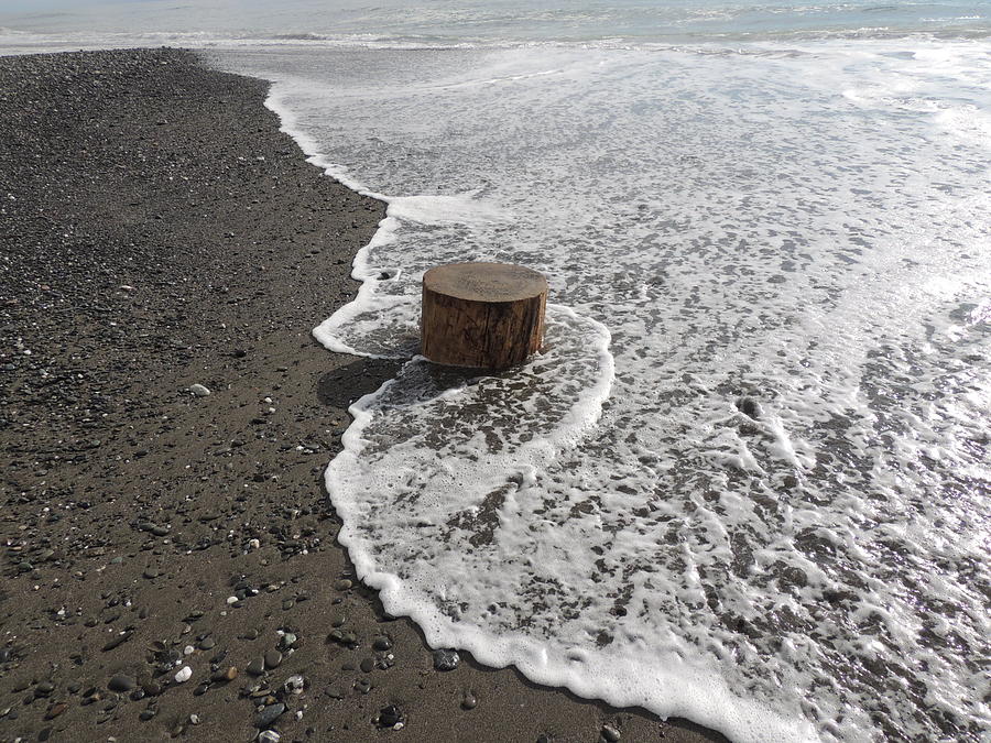 Lost Log on Beach Photograph by Traci Hallstrom - Fine Art America