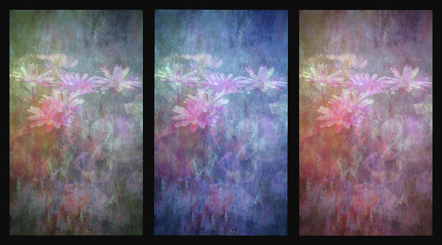 Lost Lotus Blossoms Triptych 4711 LT_2 Photograph by Steven Ward