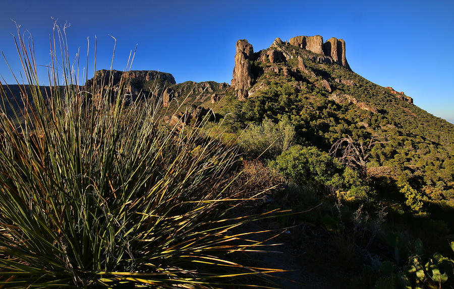 Mountain Photograph - Lost Mine Trail in Big Bend National Park 3 by Judy Vincent