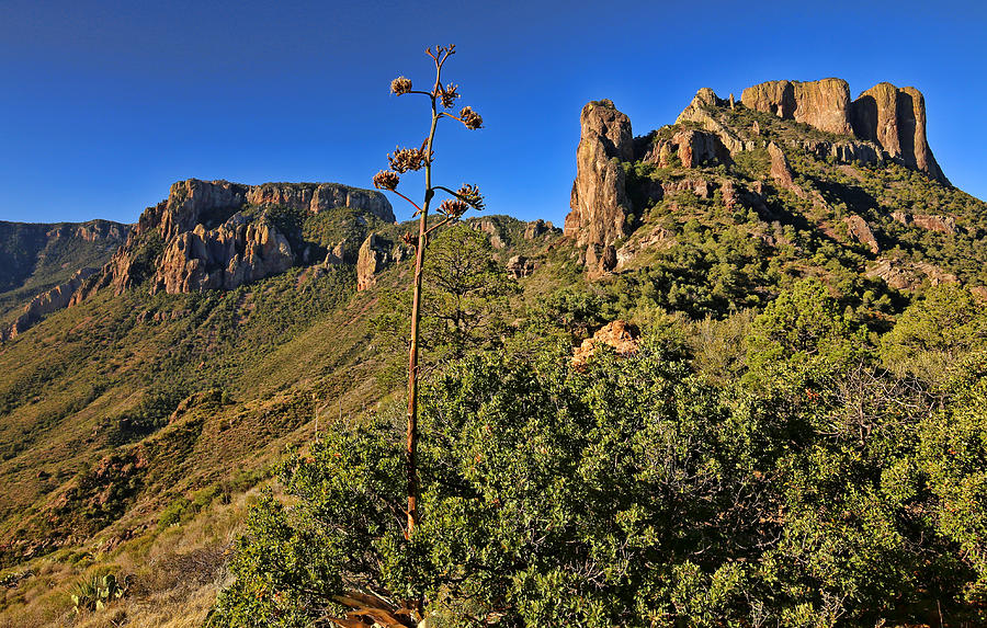 Mountain Photograph - Lost Mine Trail in Big Bend National Park 4 by Judy Vincent