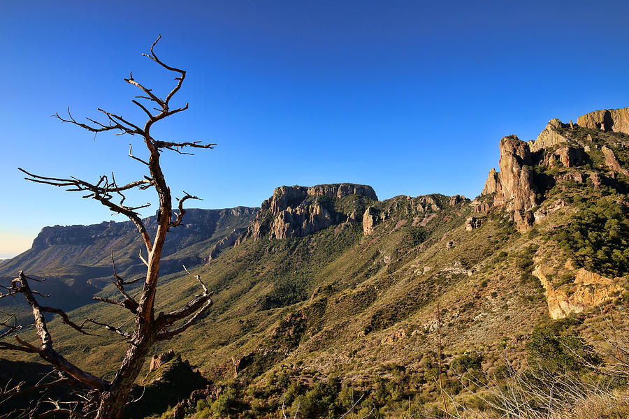 Mountain Photograph - Lost Mine Trail in Big Bend National Park 6 by Judy Vincent