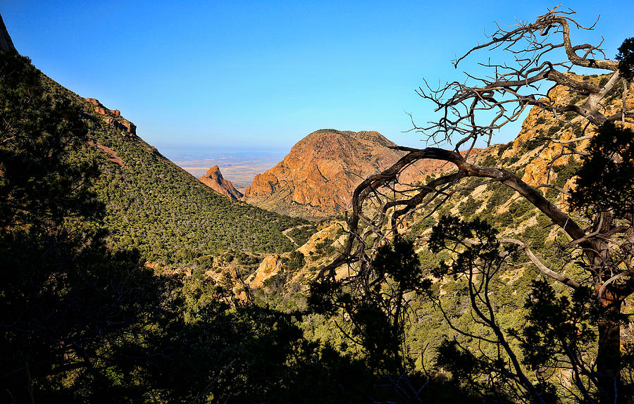 Mountain Photograph - Lost Mine Trail in Big Bend National Park 7 by Judy Vincent