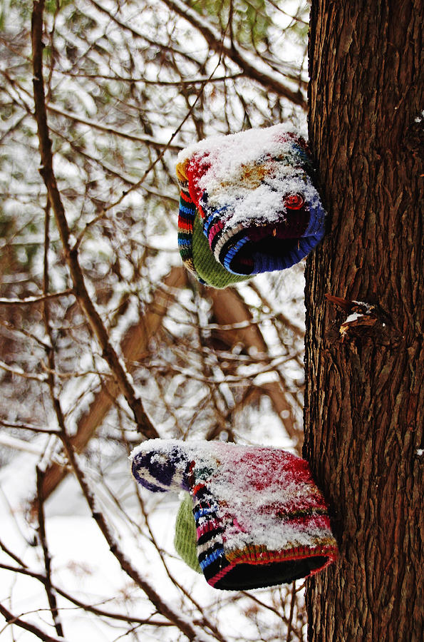 Lost Mittens Photograph by Debbie Oppermann