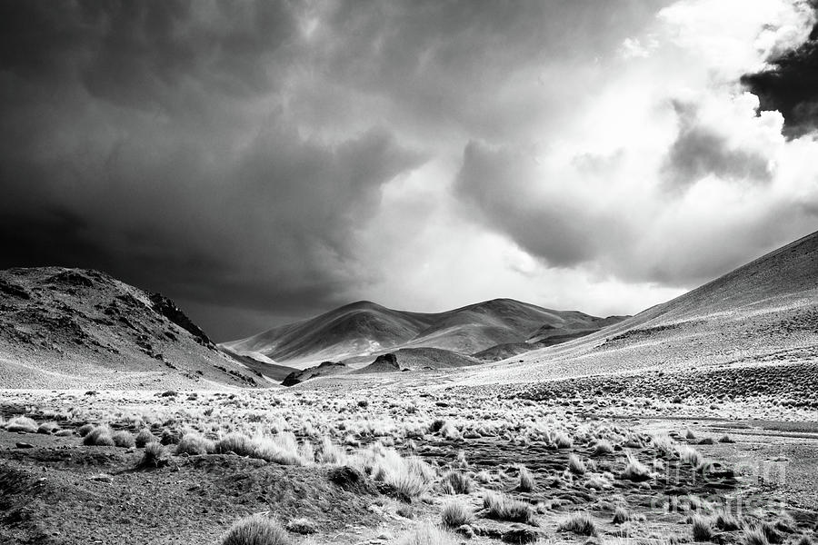 Lost on the Altiplano Photograph by Olivier Steiner