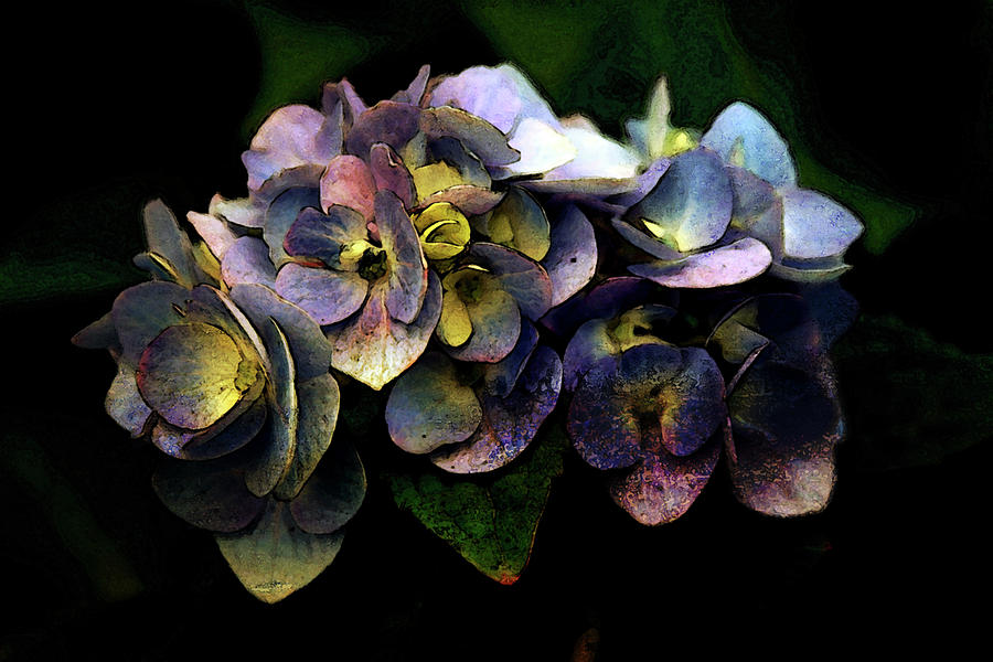 Lost Painted Periwinkle Blue Hydrangea 3720 LP_2 Photograph by Steven Ward